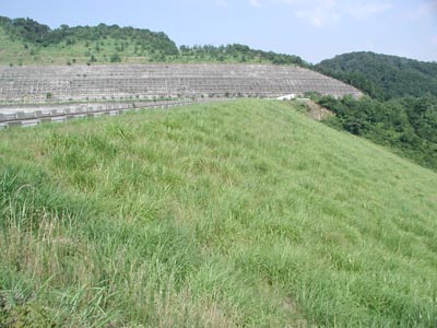 �E�݉����������̂�����