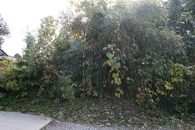 土塁はかなり高いものです