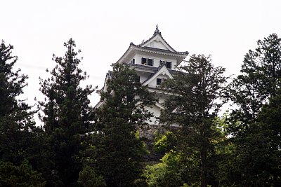 望遠レンズで天守を捉える