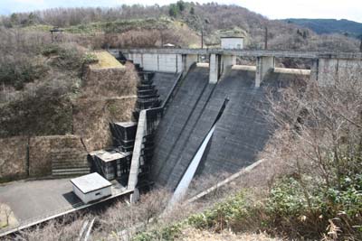 ���P��_���S�i