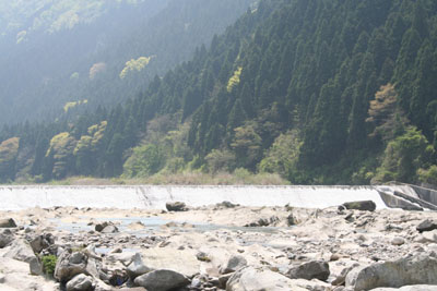 �獂�͒Ⴂ�̂ł����z������l�q�͂Ȃ��Ȃ��ł�