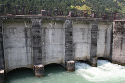 �����p��