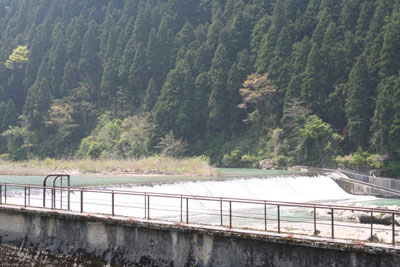 �S�ʉz�������