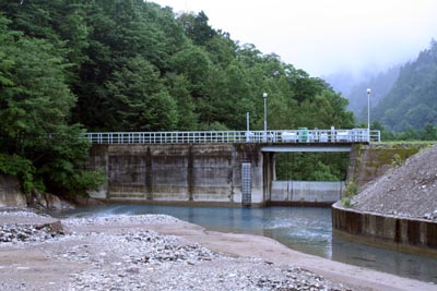 �����_���S�i