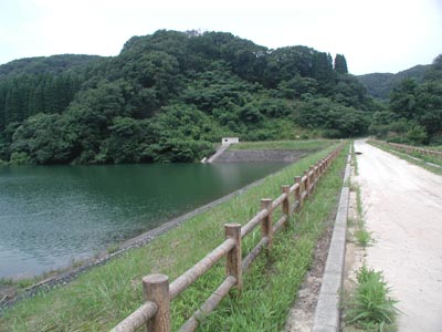 �V�[��������r