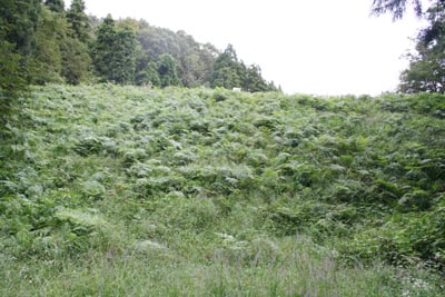 ���R�_���S�i