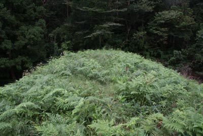 �V�[�͑��������΂��Ă��܂���