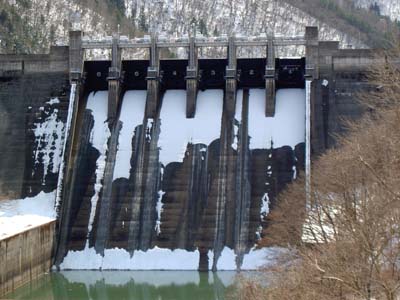 ���J�_���S�i