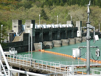 �_���Α����猩�����