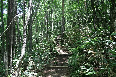 さらに進みます・・・