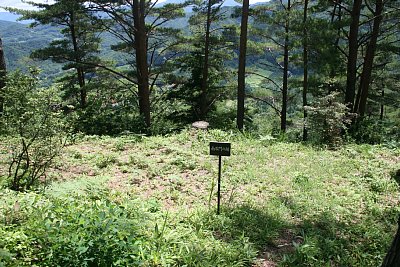 三の丸南側の曲輪