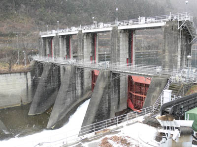 ����c�_���S�i