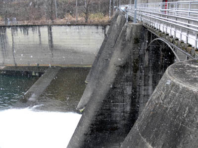 ���݂����̉�����������