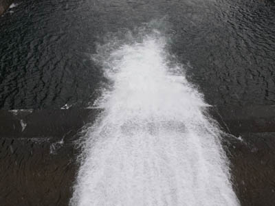 �������ł���