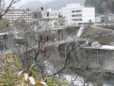 �E�݂��牺�����͖؂��ז��ŁE�E�E