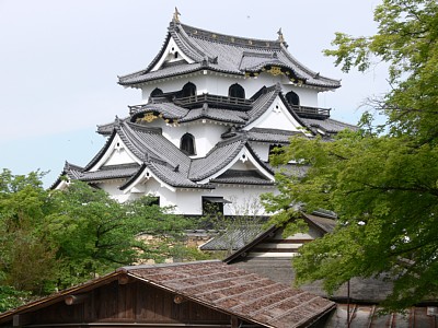 �F����V��@2009�N5��5��