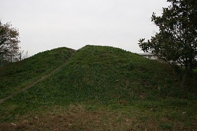 放生津城跡にある土塁・・・なら良かったのですが