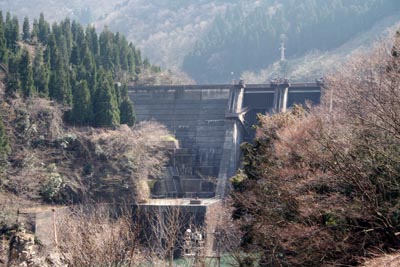 �����_���S�i