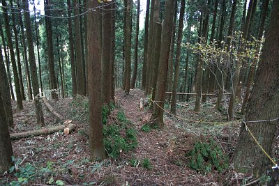 下方にも腰郭が多数存在します