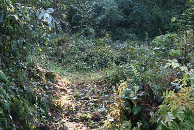 さらに登っていきます