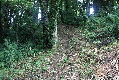本丸方面への通路は狭く急です