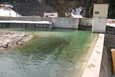 ���R�z�������