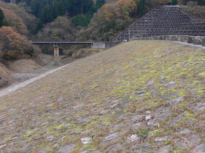 �E�݂����̏㗬��������