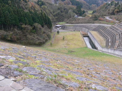 �V�[���牺�����������낷