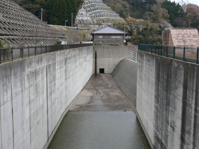 �^���f�����瓱������