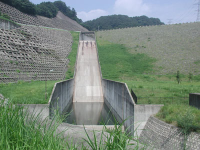 ���������猸���H