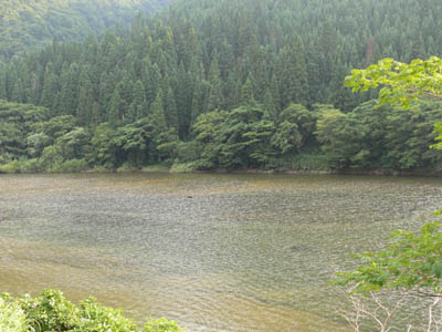 �_���΂͍̑��͒�����