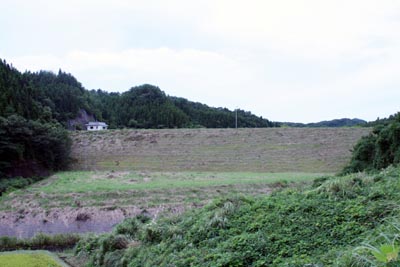 ���_���S�i