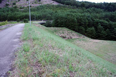 ��̉�����