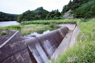 ���R�z�����^���f