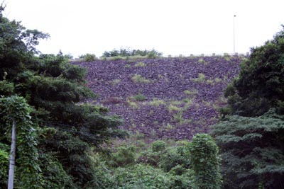 ���ƃ_���S�i