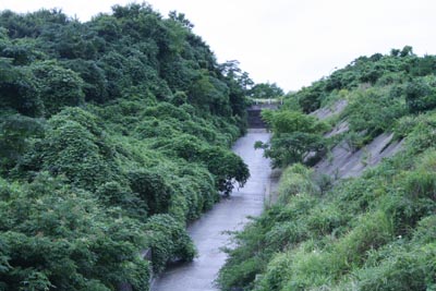 �����H���������猩��