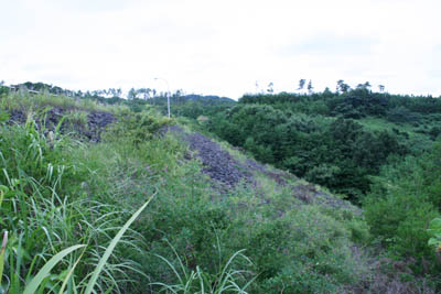 �E�݉����������̂�����