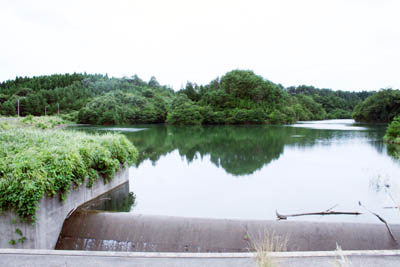 �^���f����z�����Ă��܂�