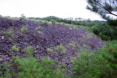 ��̒��������̂����グ��