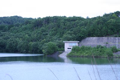 �_���΂ƊǗ���