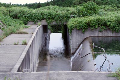 ���R�z�����^���f