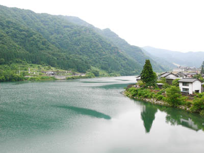 �_���΂͑�����ɂ��Ȃ��Ă��܂�