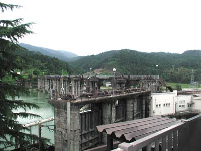 �E�݂̔��d��