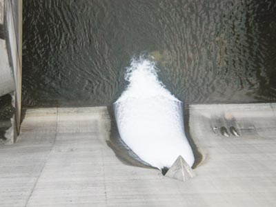 �^���f����̕������A�b�v