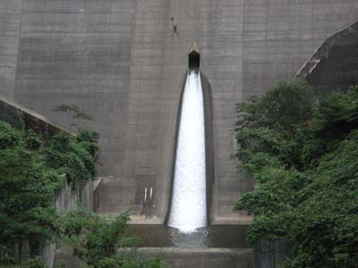 ��p�^���f����̕���