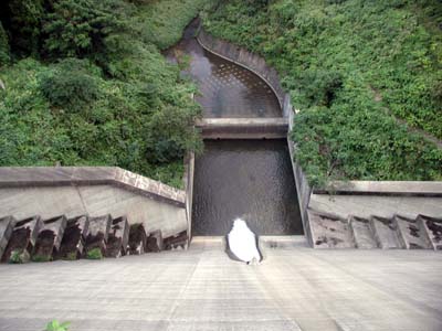 �^���f�Ɖz�������̏ォ�璭�߂�