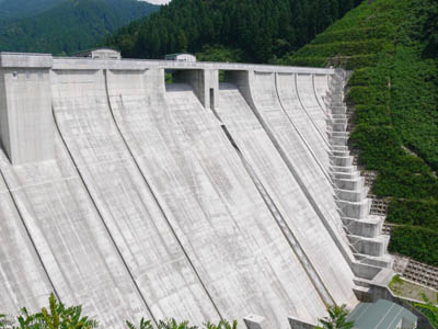 ��y����_���S�i