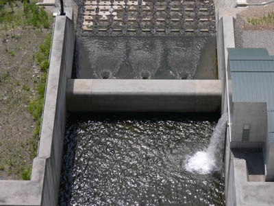 �����H�ƕ��_��