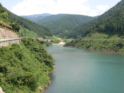 �_���΂̓_���̋K�͂ɔ䂵�ď�����