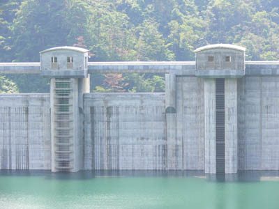 �N���X�g�Q�[�g�͎��R�z�����^���f